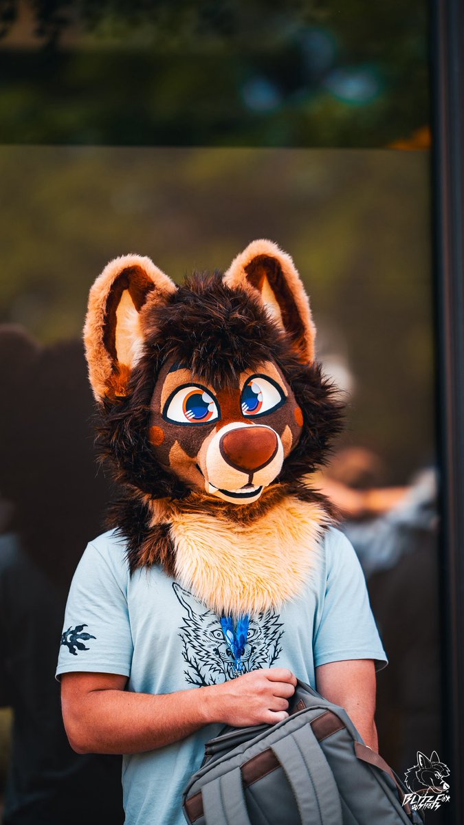 🐾BlitzFox🐾 🔜 CFz 26 tweet media