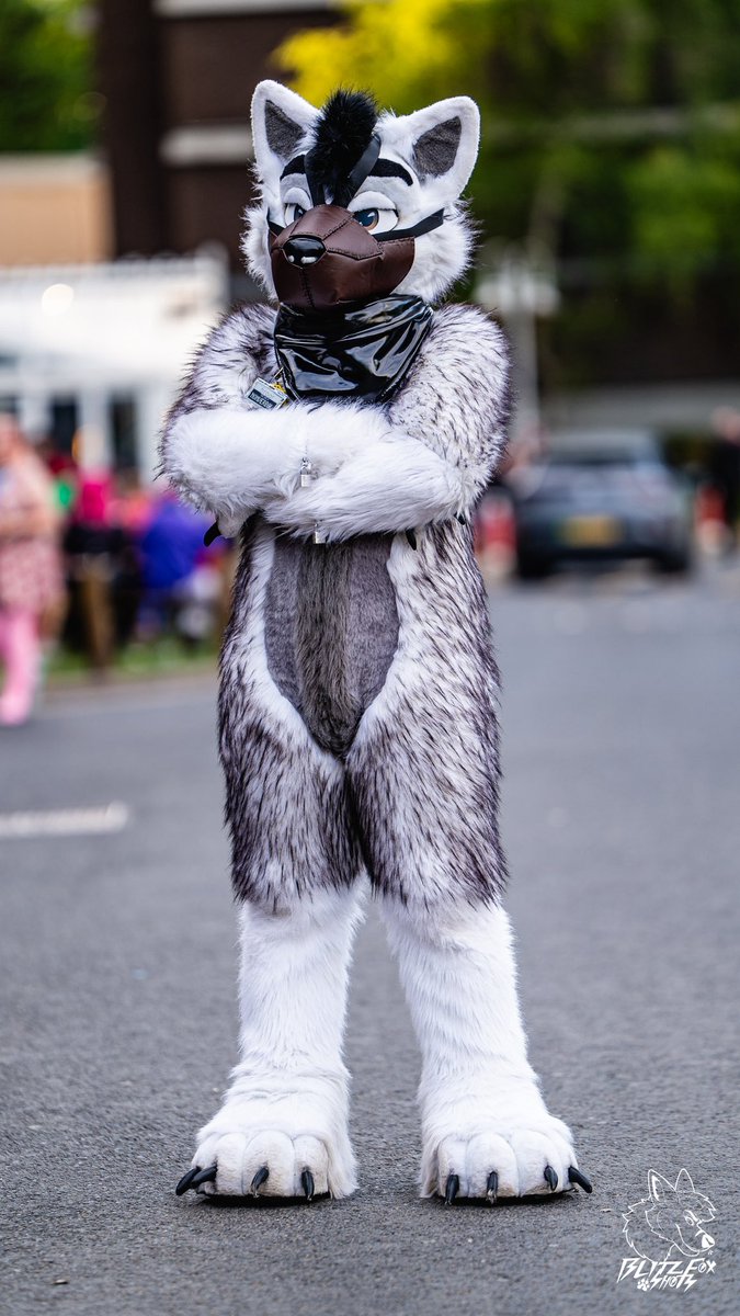 🐾BlitzFox🐾 🔜 CFz 26 tweet media