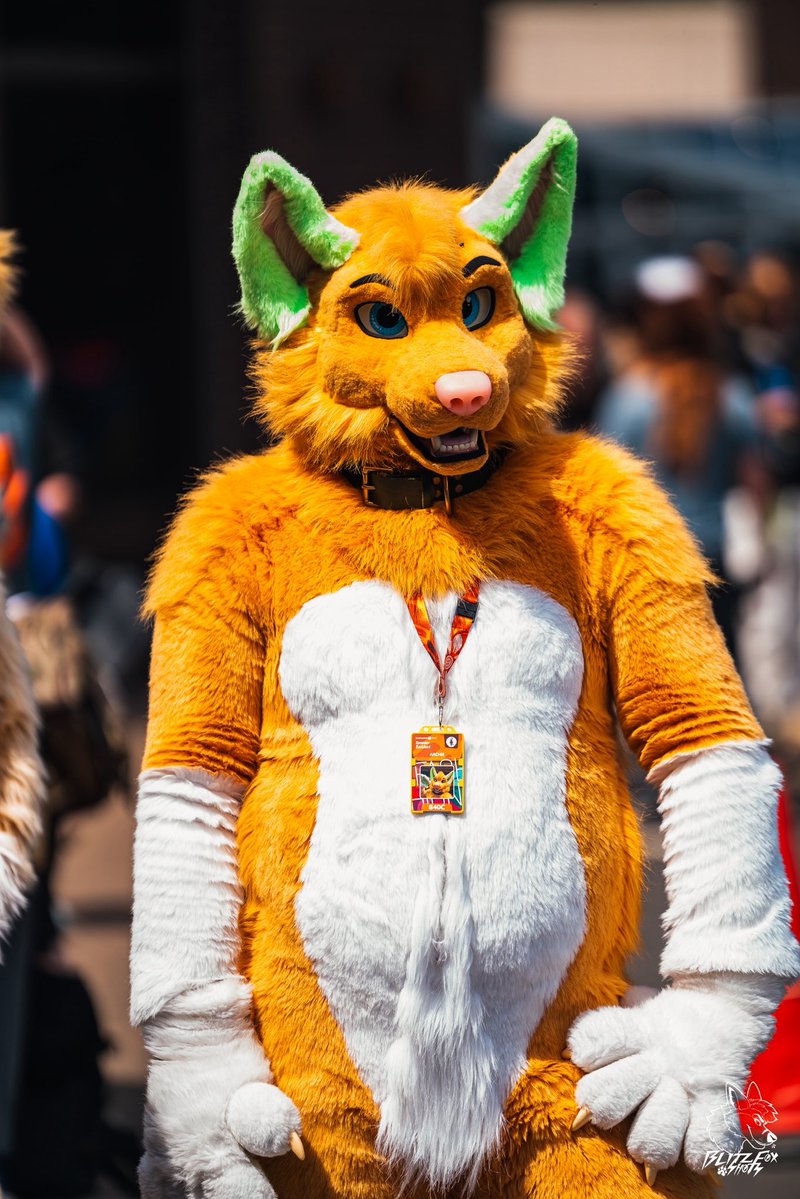 🐾BlitzFox🐾 🔜 CFz 26 tweet media