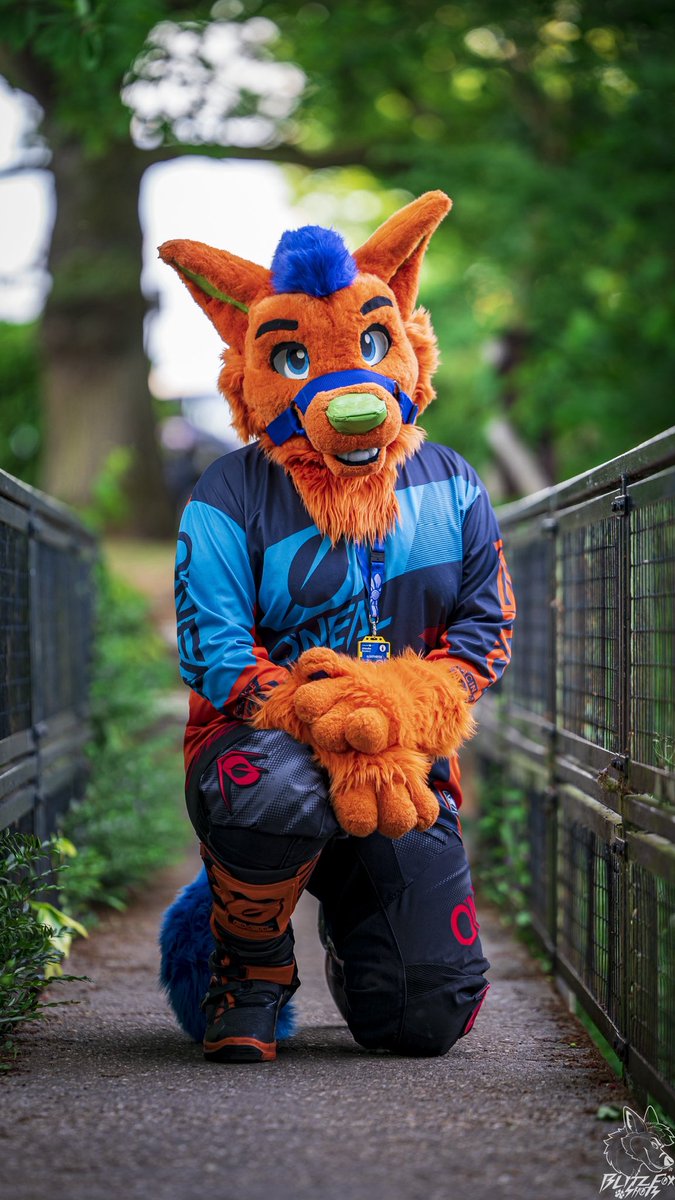 🐾BlitzFox🐾 🔜 CFz 26 tweet media