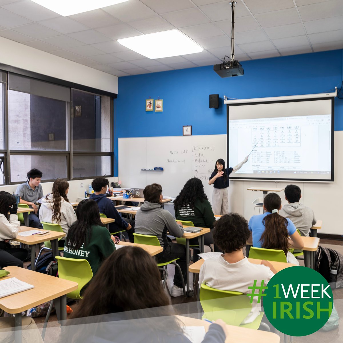 SHC Go Irish! tweet media