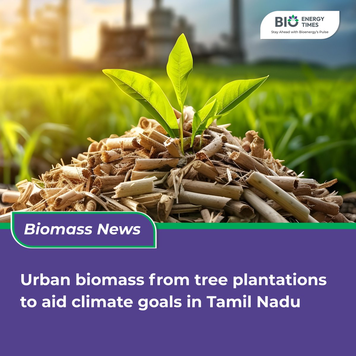 BioEnergy Times tweet media