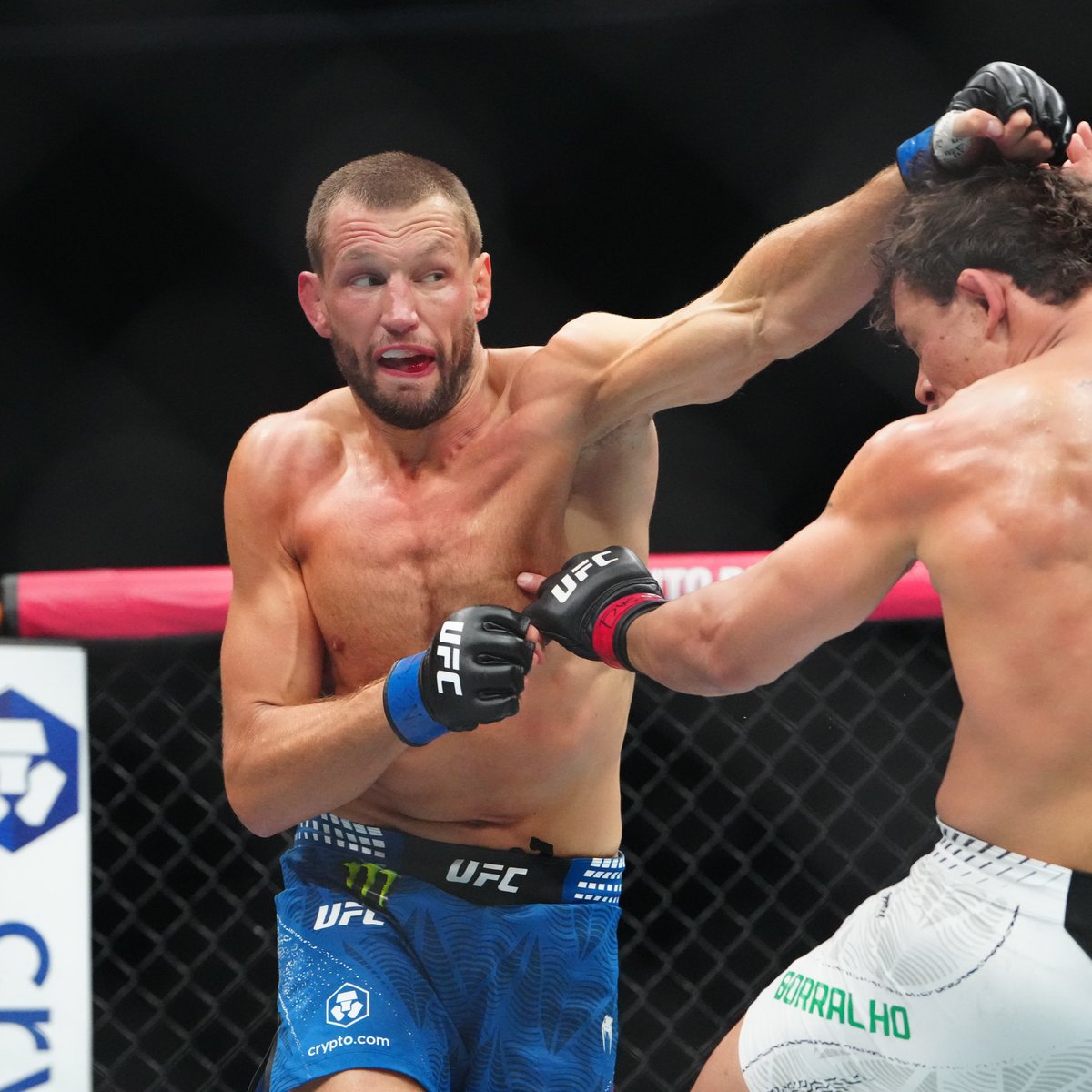 Nolan King tweet media