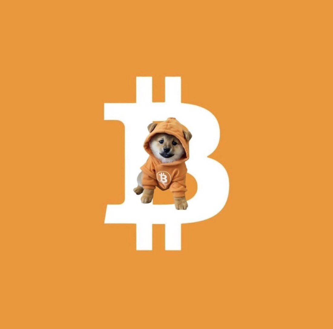 Only $DOG of Bitcoin for freedom!!