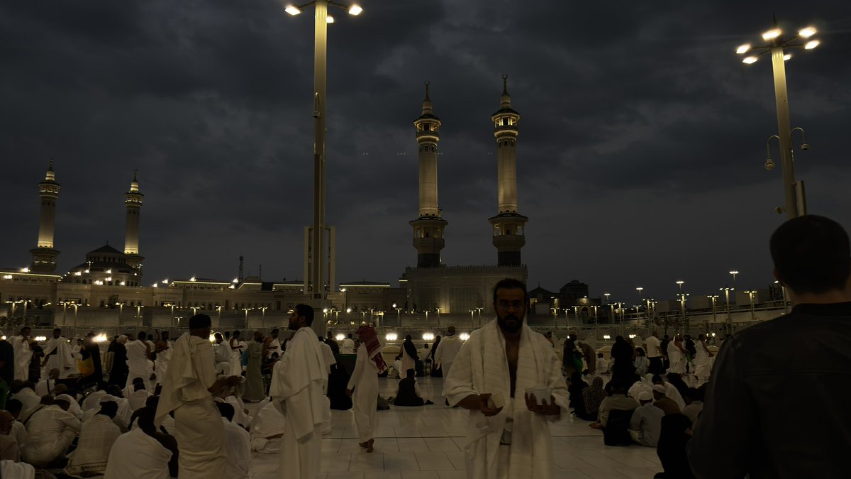 ⋆𖦹°⭒˚🐈⬛ | lino tweet media