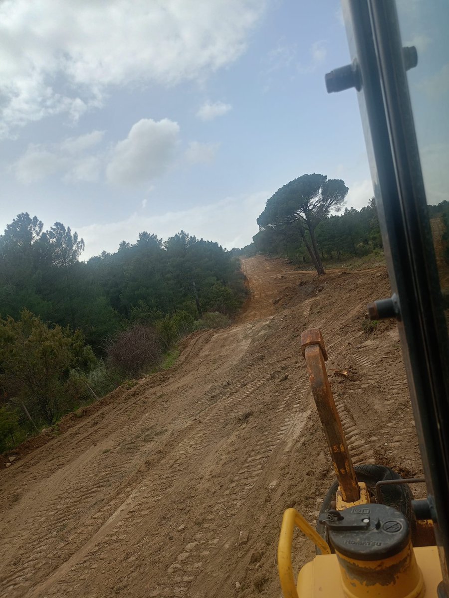 Naturaleza Castilla y León tweet media