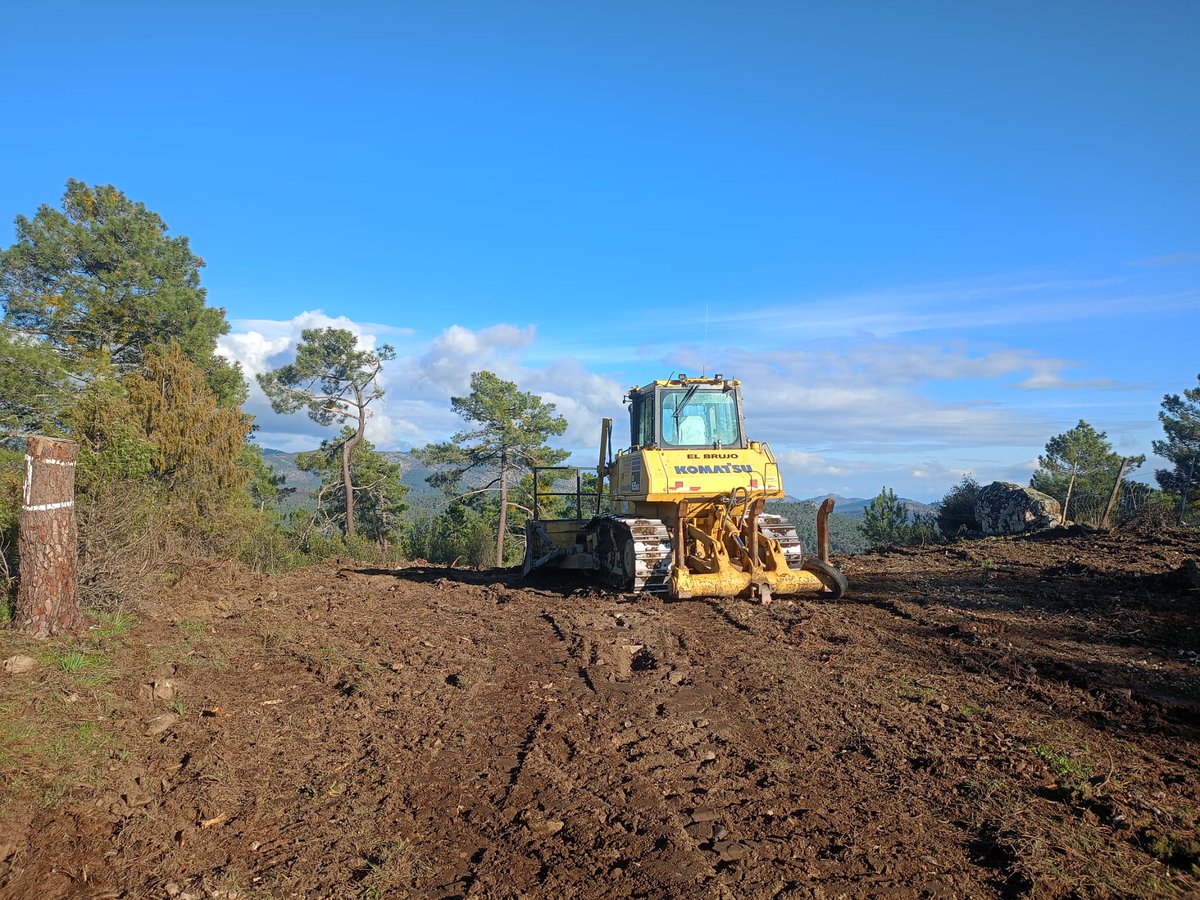 Naturaleza Castilla y León tweet media