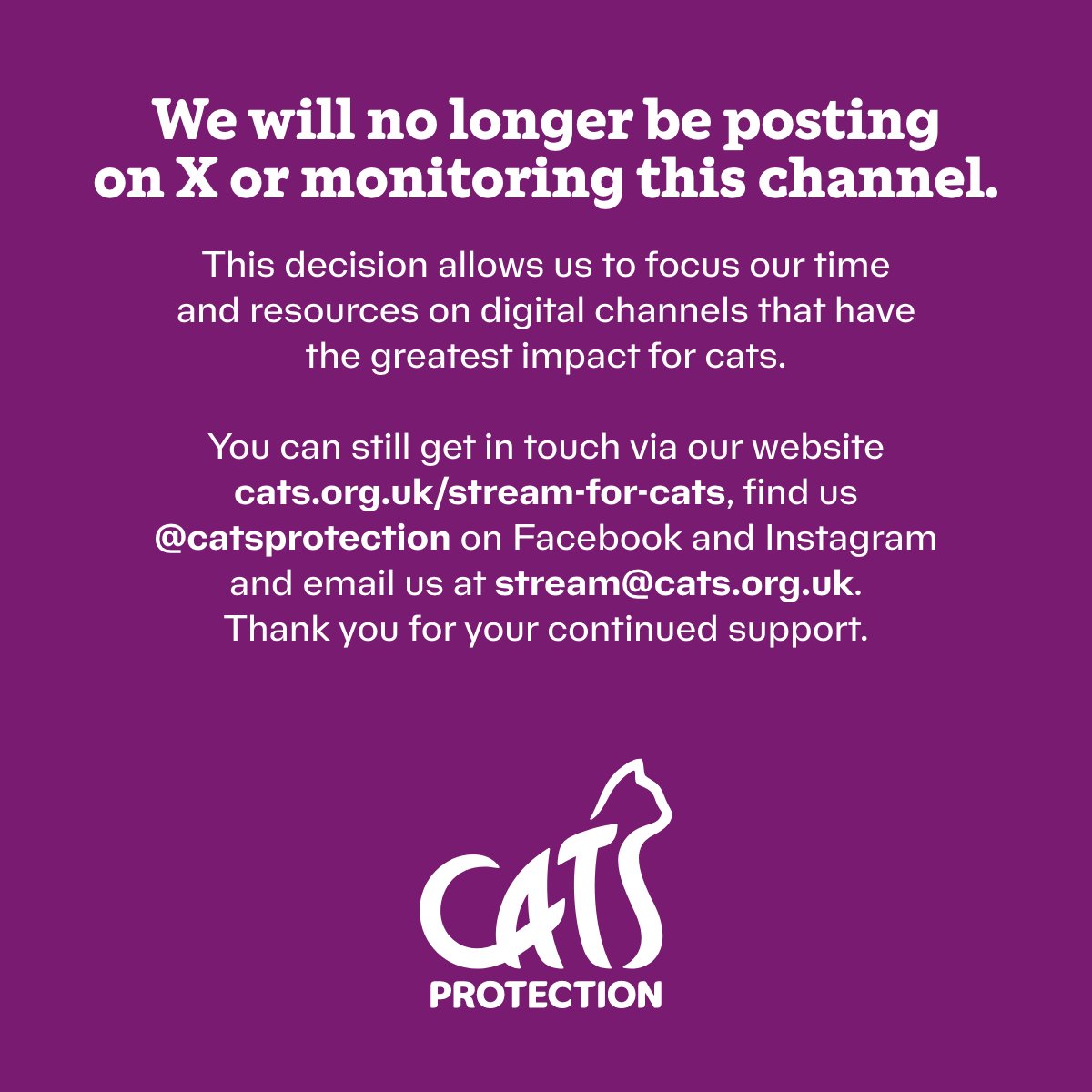 Stream for Cats tweet media