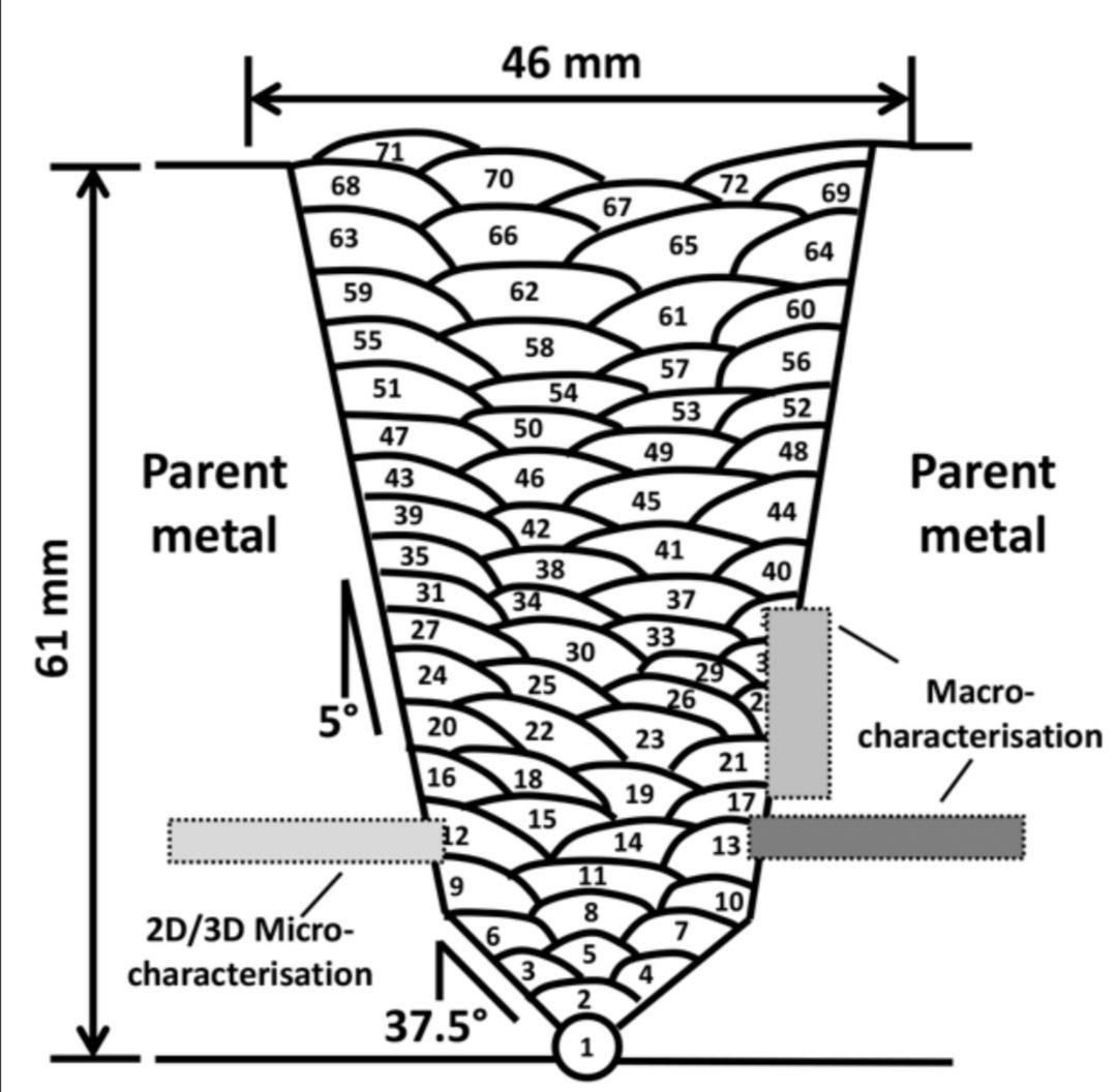 Jordan Taylor tweet media