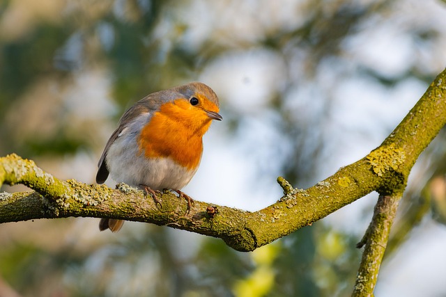 Dustin Reed tweet media