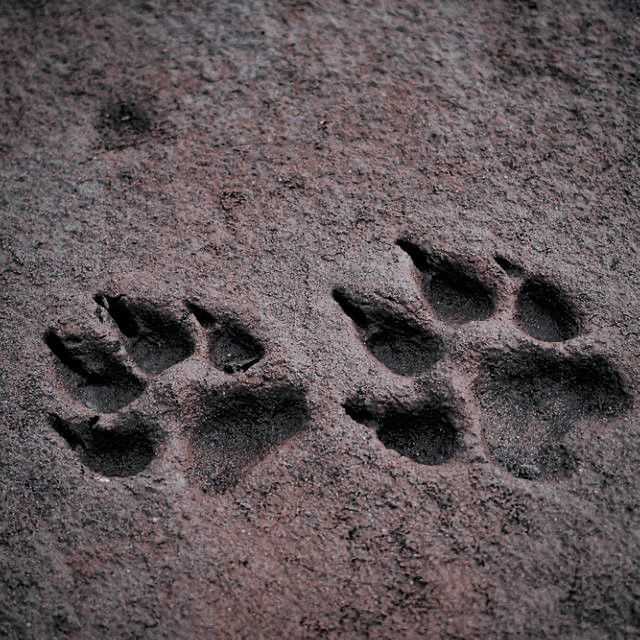 [ Jake Lockwood-Smith: "Yes, I am a Lockwood.. what about it?" ]