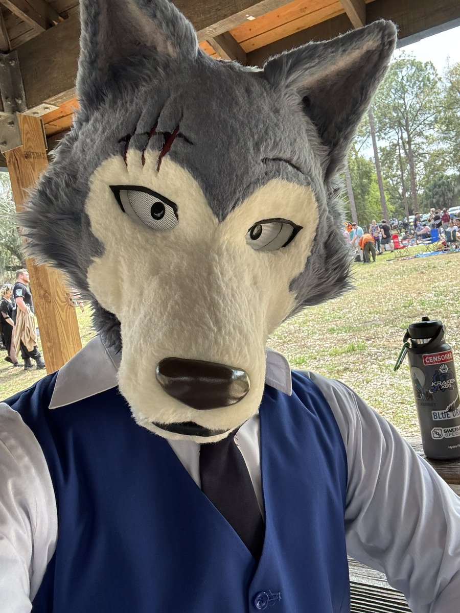 Moose (Differmitt) 🔜 TFF tweet media