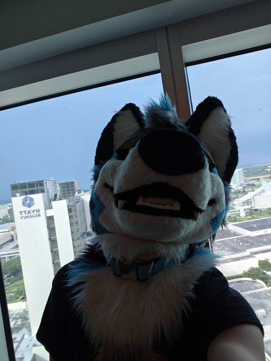 Knox 🔜 BWS tweet media