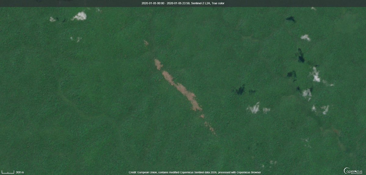 TornadoClips tweet media