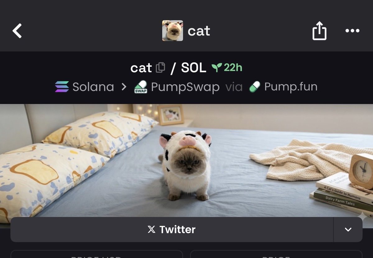 First $cat on pump 

BMnAxtc4TU9mzqNi1V1CKkuq5iydxaAGMwpCoVgKNce3