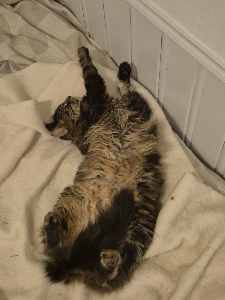 Nora 🜏 tweet media