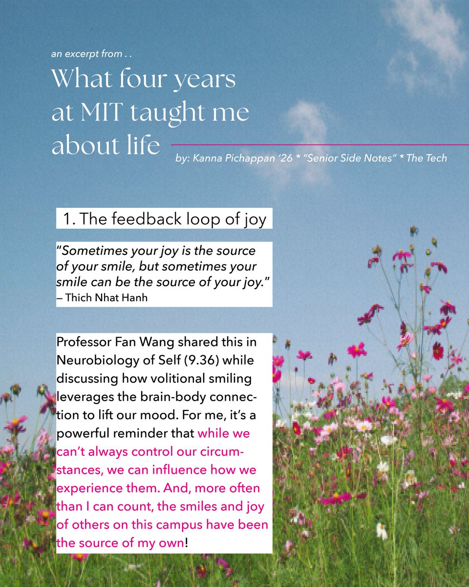 Yang Tan Collective tweet media