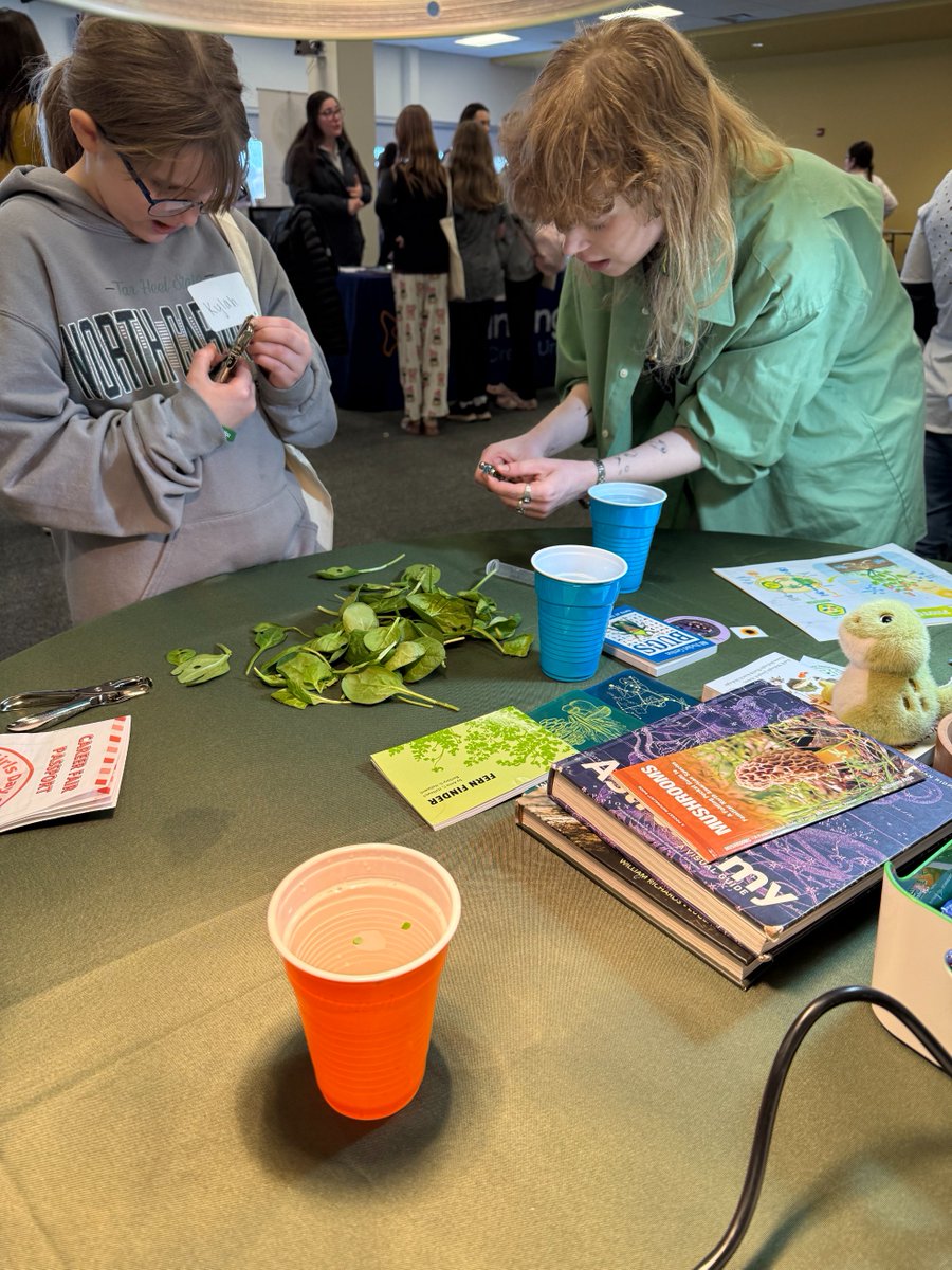 Boyce Thompson Inst tweet media