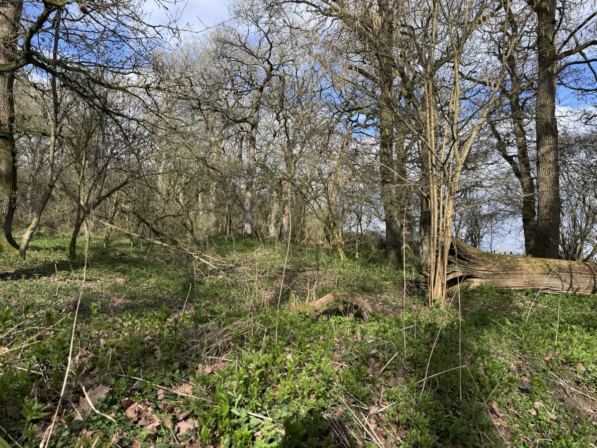 Judith Barnard tweet media