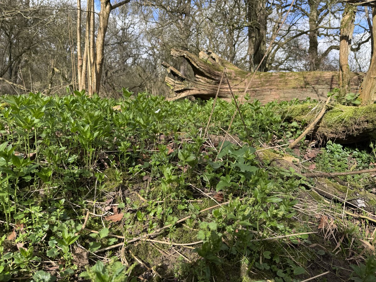 Judith Barnard tweet media