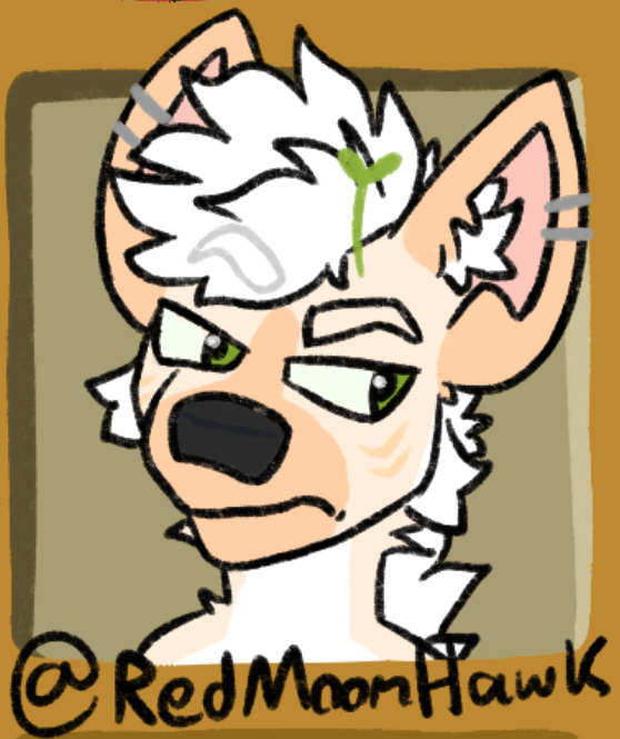 𝗙 𝗢 𝗟 𝗟 𝗜 tweet media