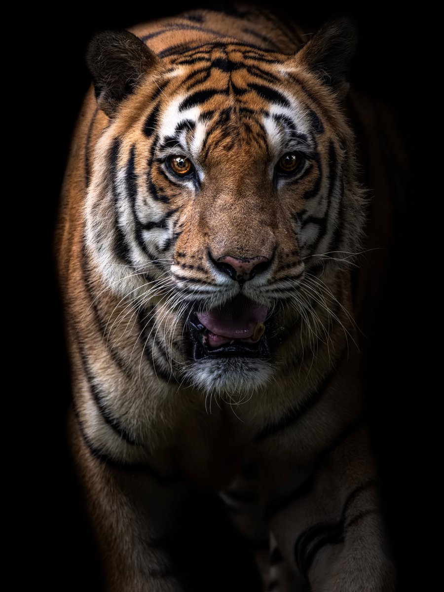 R.Suguri tweet media