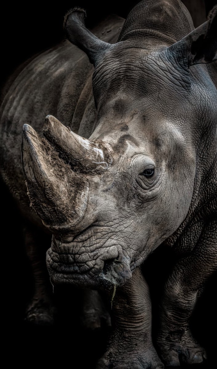 R.Suguri tweet media