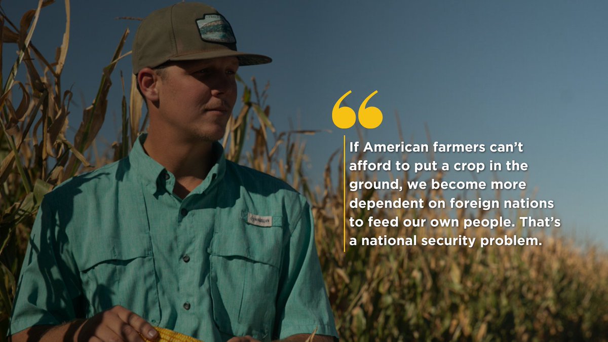 Texas Corn Producers tweet media