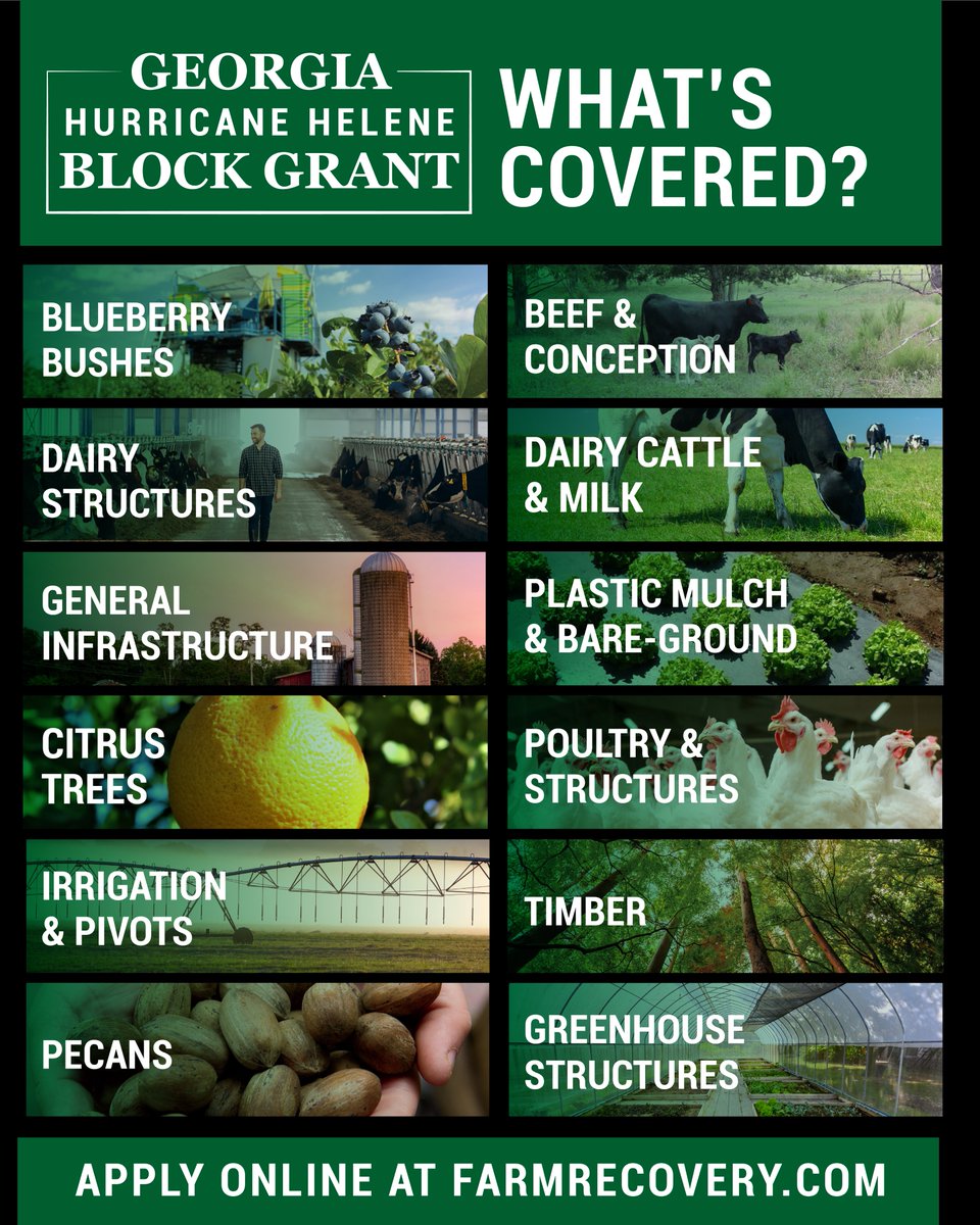 Georgia Agriculture Commissioner Tyler Harper tweet media