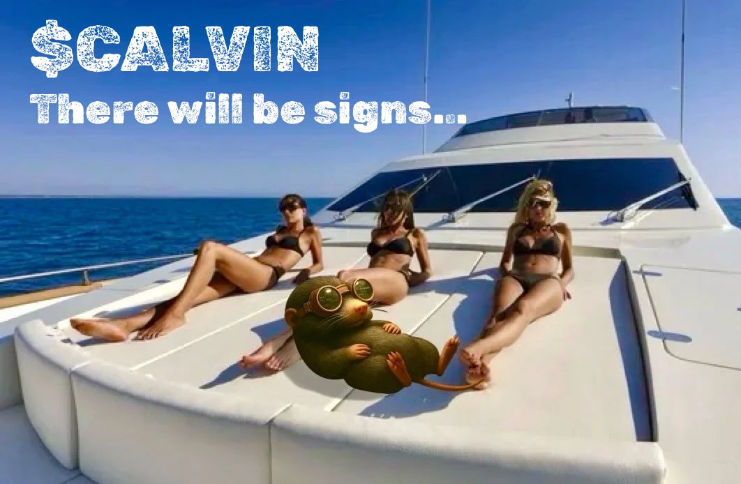 Fundy Rundy tweet media