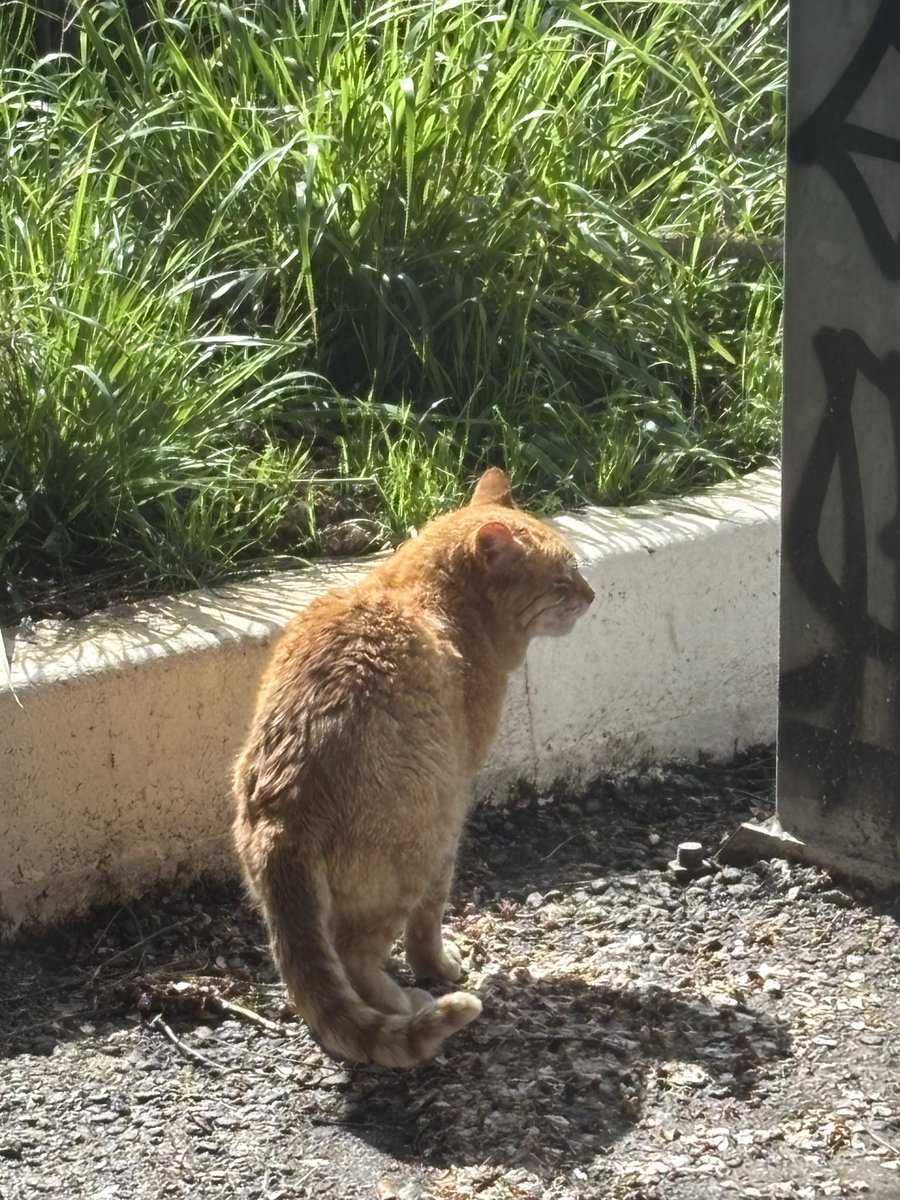 Lúa García tweet media