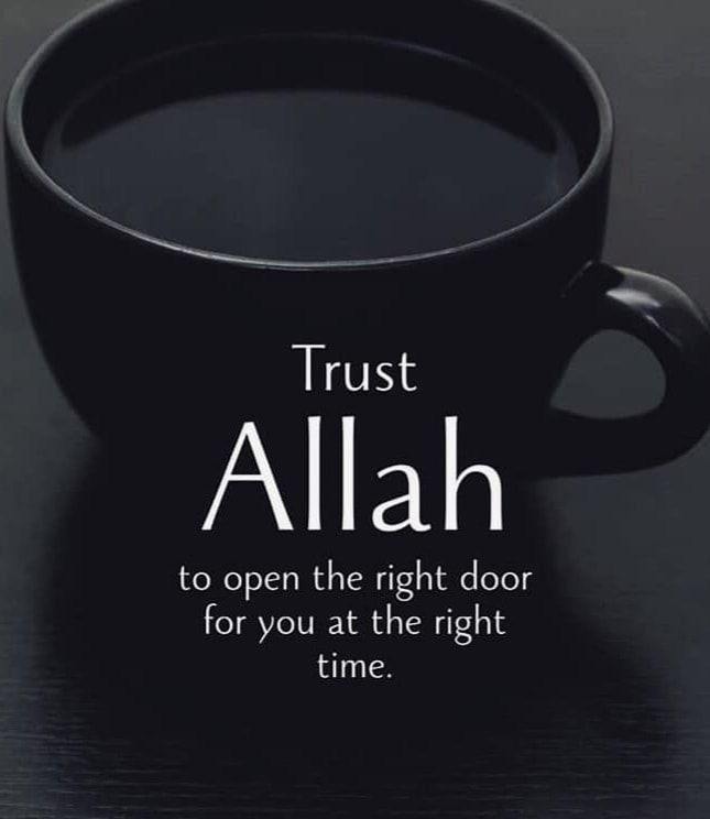 light_vers79636's tweet photo. Tawakkul ✨ https://t.co/XPHinQXpsq