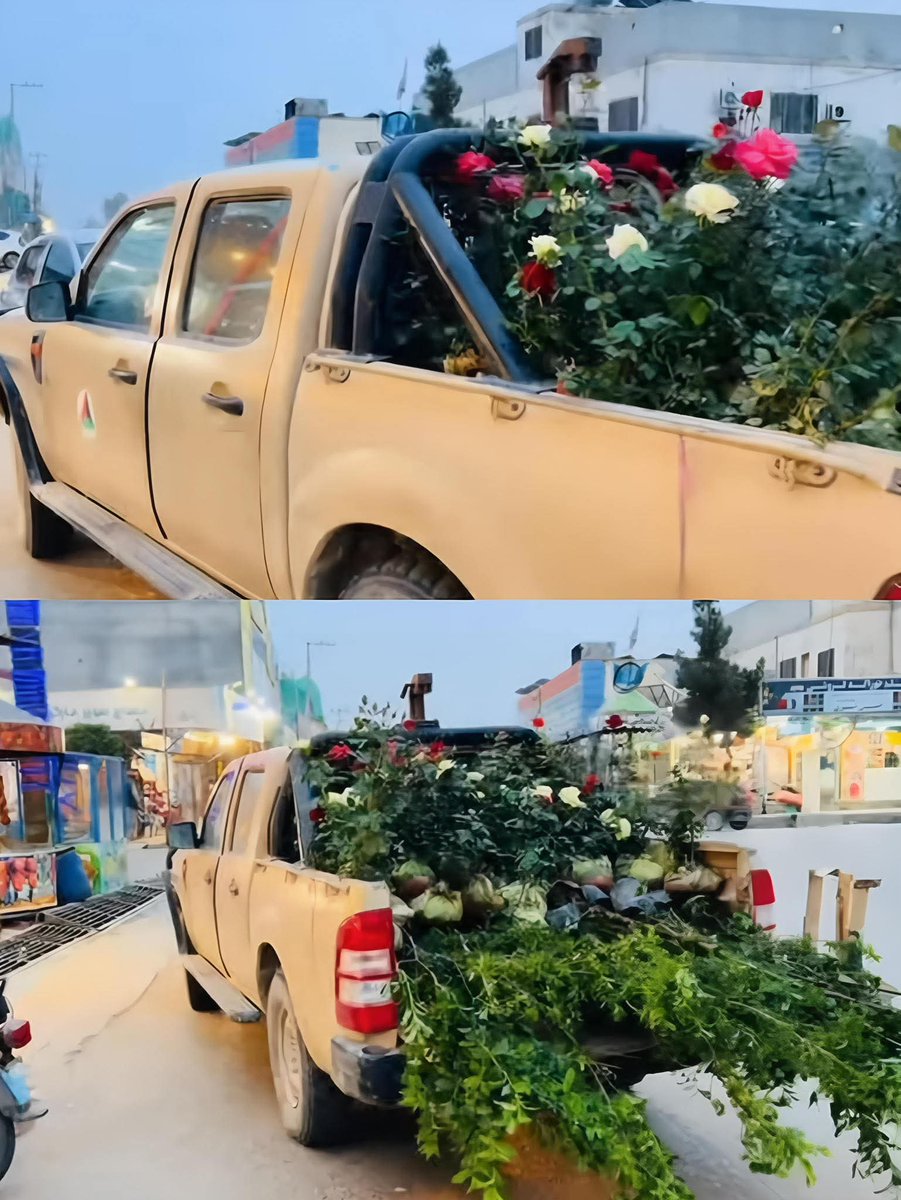 اوس پکې د وسلو پرځای د آبادۍ لپاره ګلونه انتقالیږي!
🥀🌺