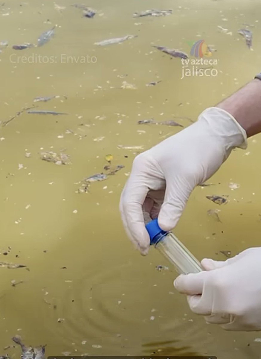 Inshallah 🎶 tweet media