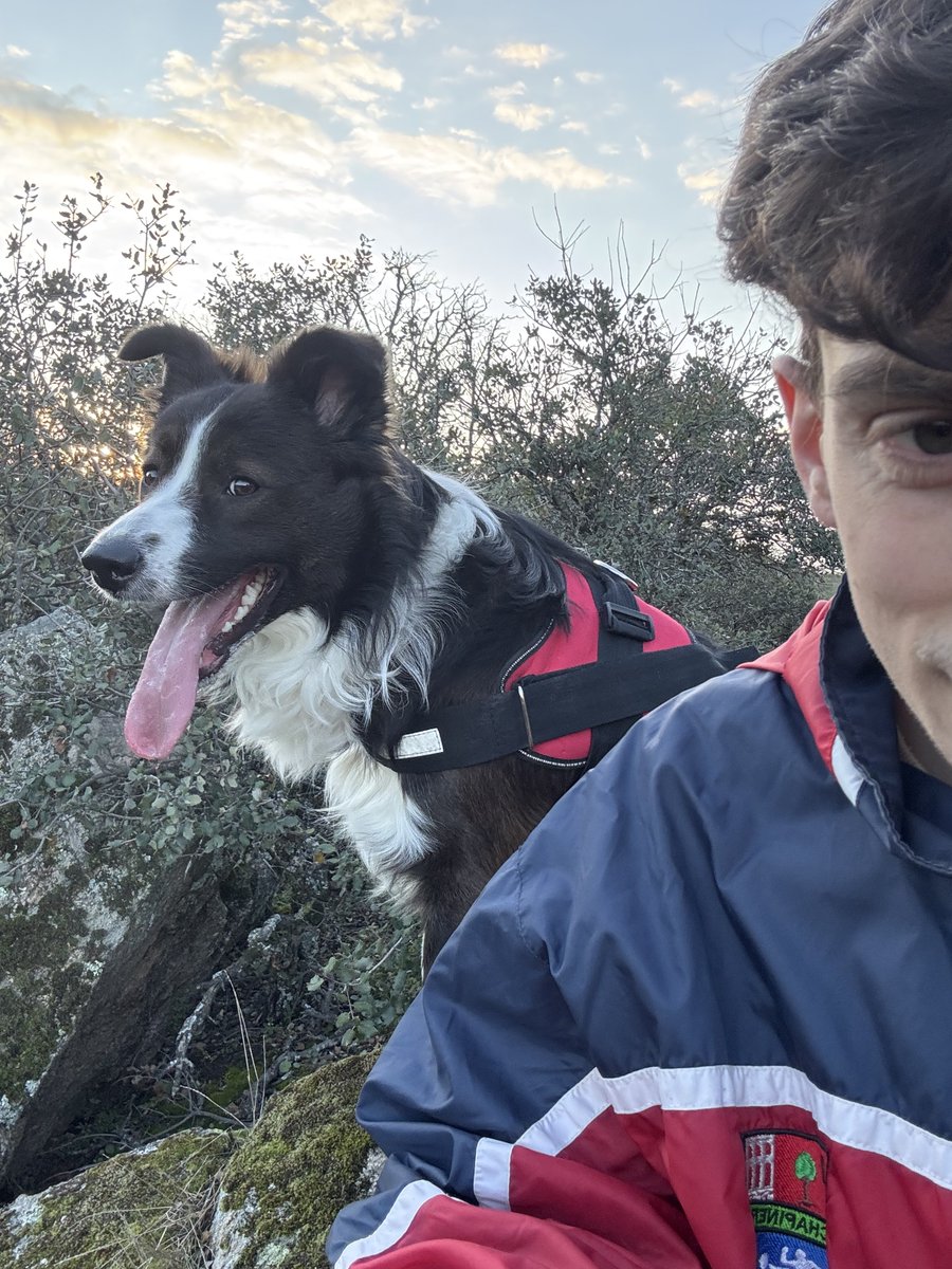 angelowo tweet media