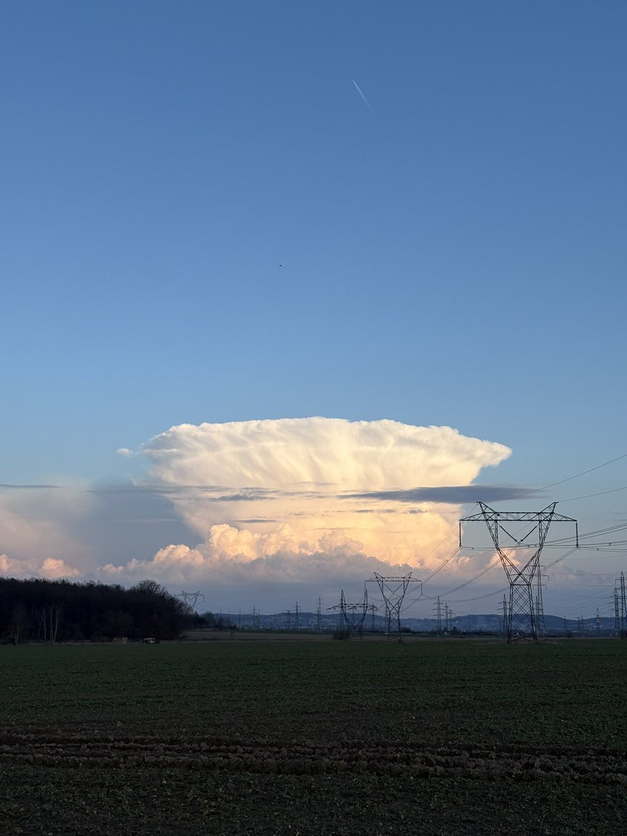 Zhýralej chlápek tweet media