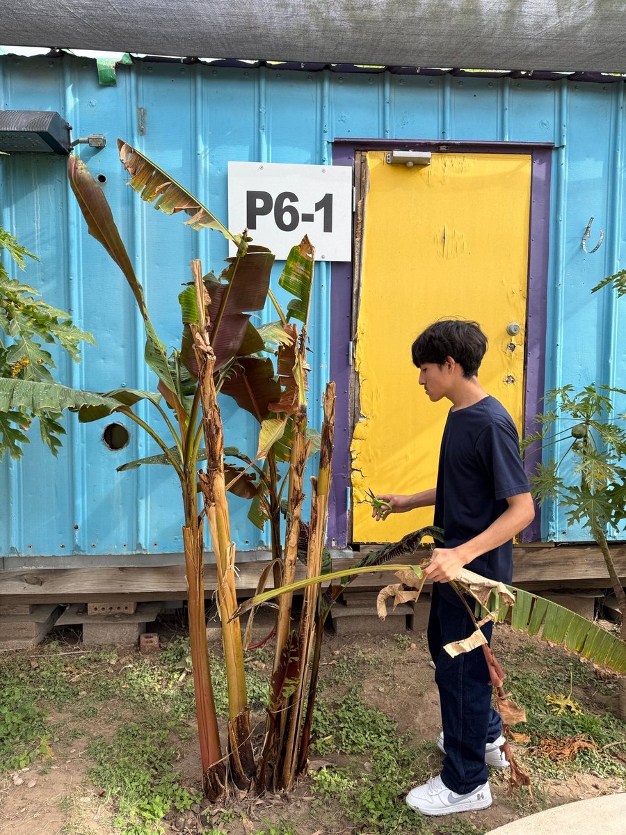 Daniel Galeana tweet media