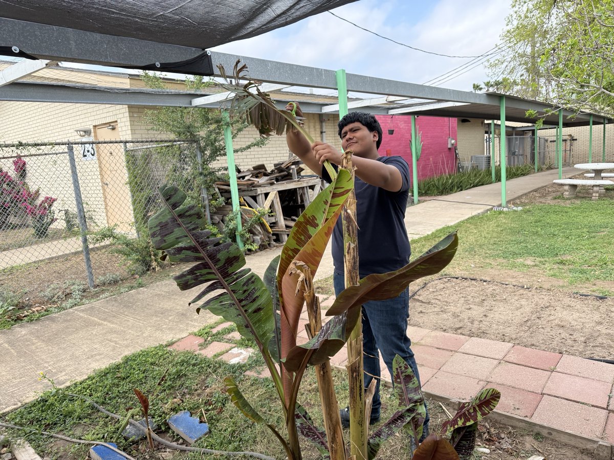 Daniel Galeana tweet media