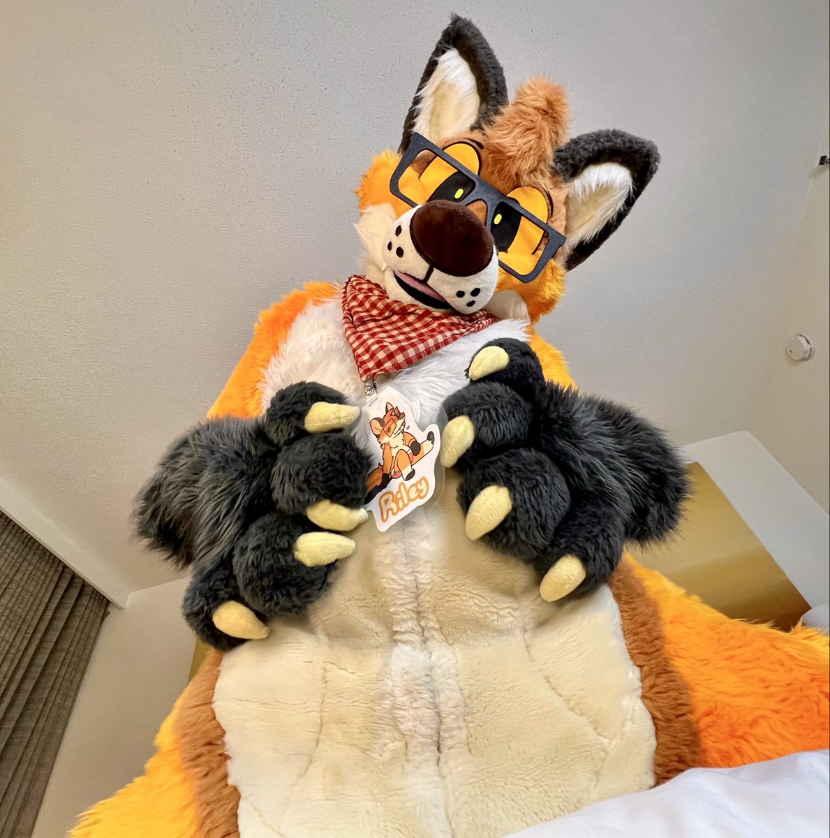 Riley 🦊✈️🔜 TFF, LVFC tweet media