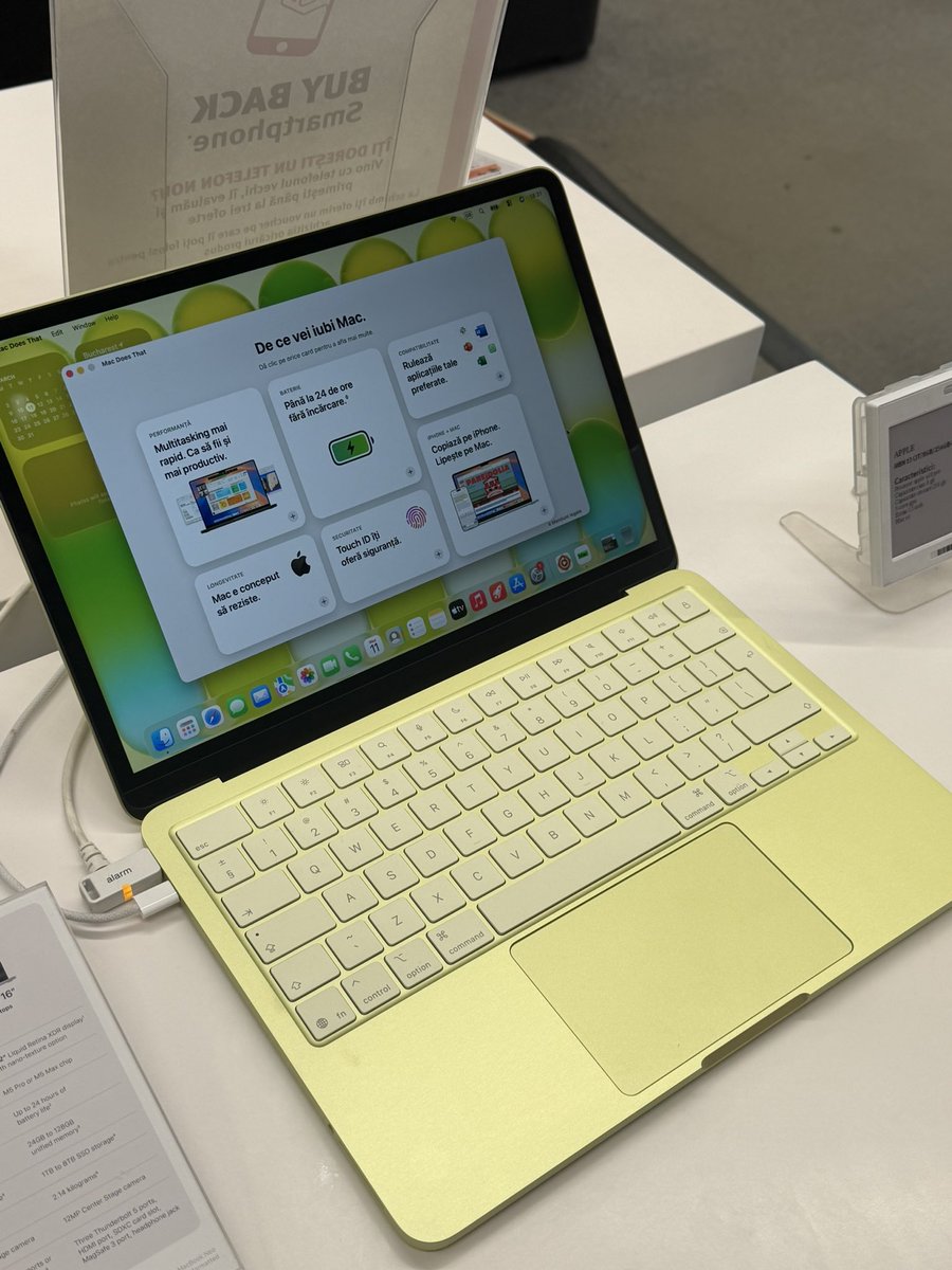 Dashelle tweet media