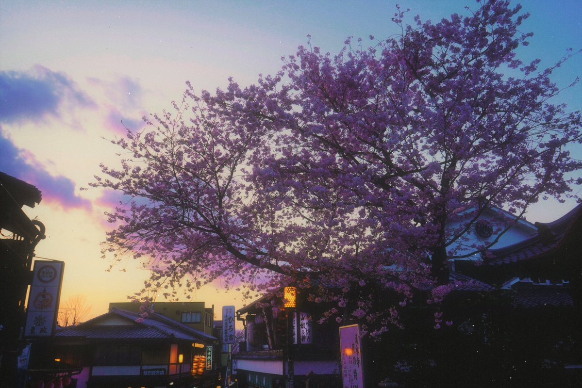 Sunset in Kyoto 💕