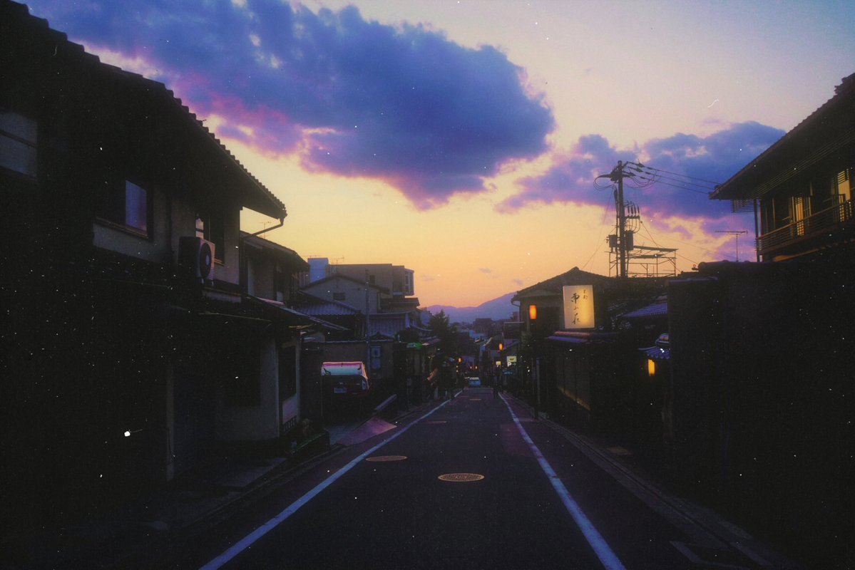 Elora 🌙 tweet media