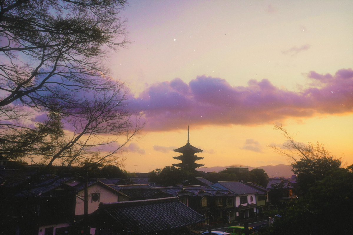 Elora 🌙 tweet media