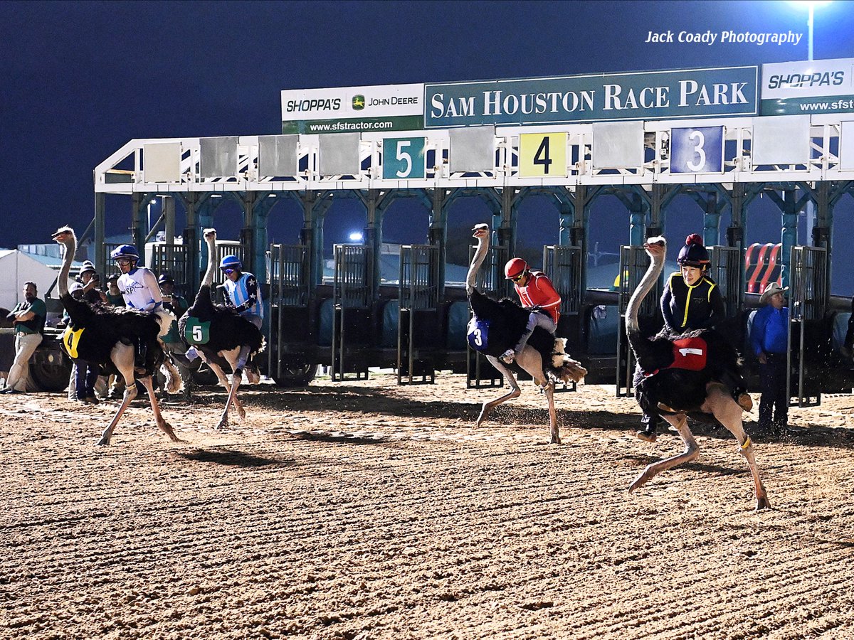 Sam Houston Race Park tweet media