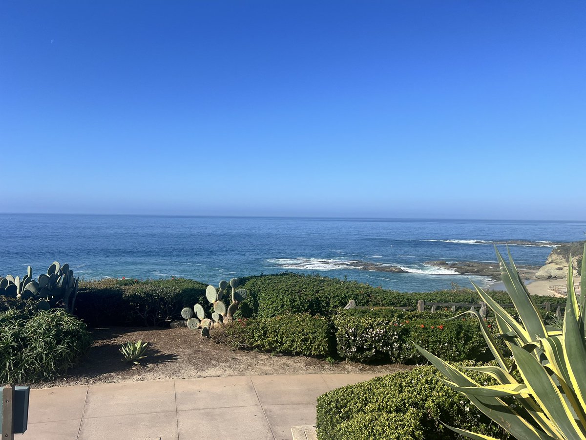 Nototrious NLGA tweet media