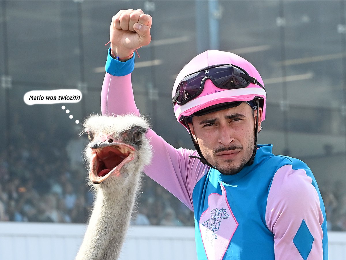 Sam Houston Race Park tweet media