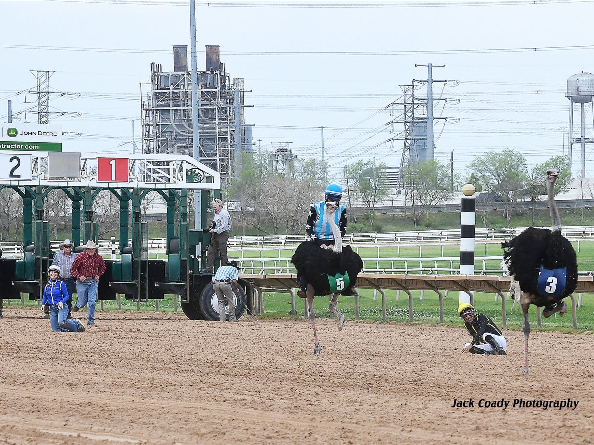 Sam Houston Race Park tweet media