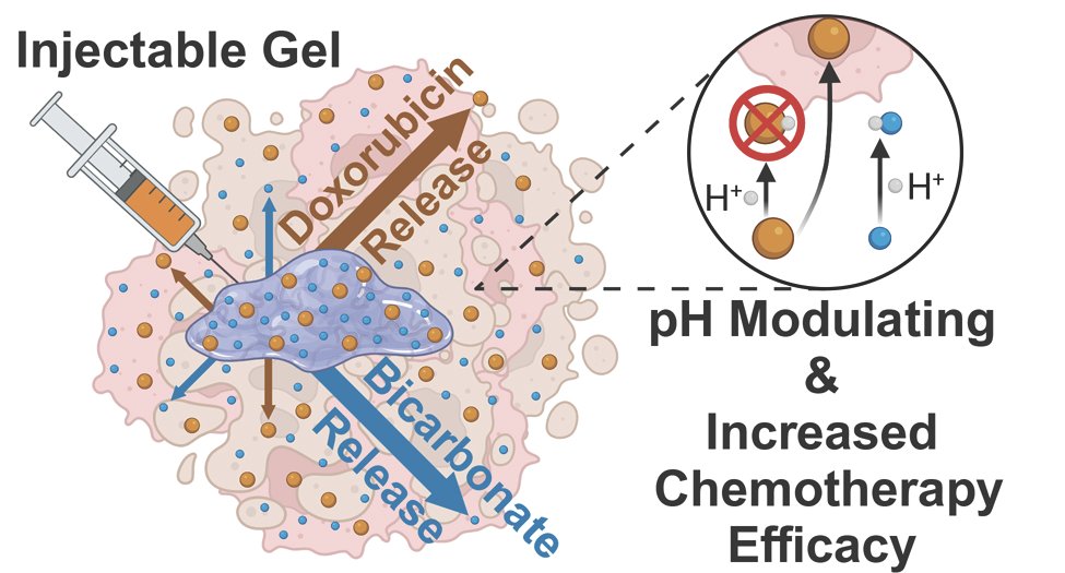 Srivastava_Lab's tweet photo. Congratulations Zahra and Srivastava lab for being awarded a patent for better cancer therapy (pH-regulating hydrogels that neutralize cancer cell environment acidosis and increase chemotherapy efficacy) https://t.co/IwmXS33er1 https://t.co/960uAEQPeW