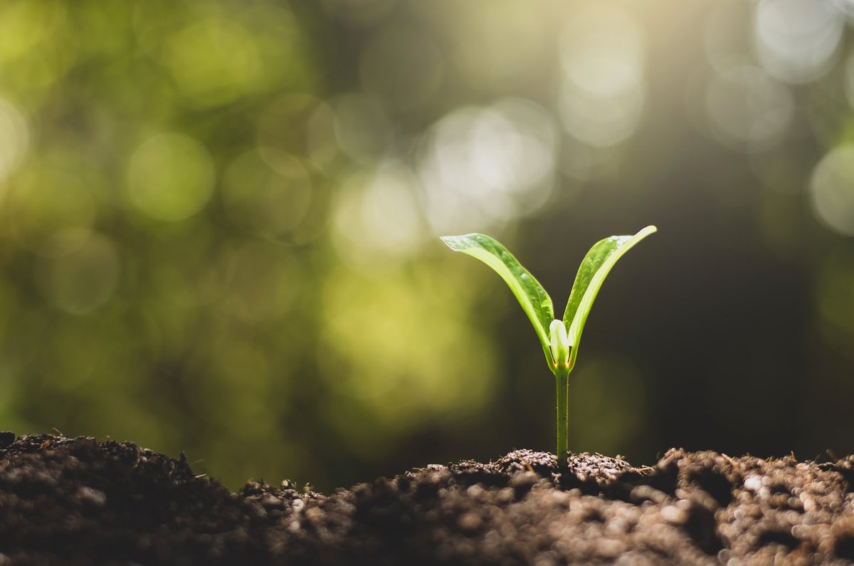 Geri Seiberling tweet media