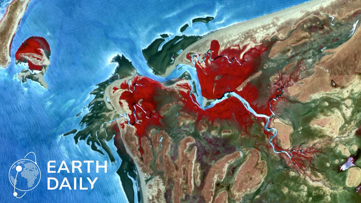 ABBMeasurement tweet media